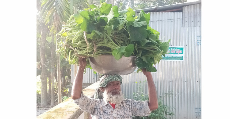 বাড়ি বাড়ি শাক বিক্রি করে সংসার চালাচ্ছেন মিছির আলী