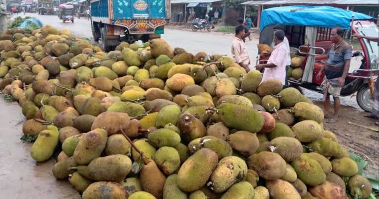 স্থানীয় গৃহস্থদের কাঁঠালে বাজার ভরপুর, কমেছে দাম