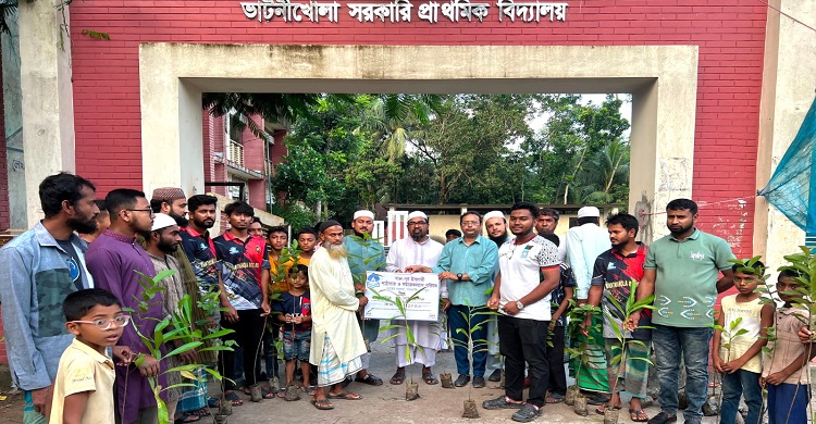 শাহরাস্তি আন নূর ইসলামী পাঠাগার ও সমাজকল্যাণ পরিষদের বৃক্ষরোপণ কর্মসূচি