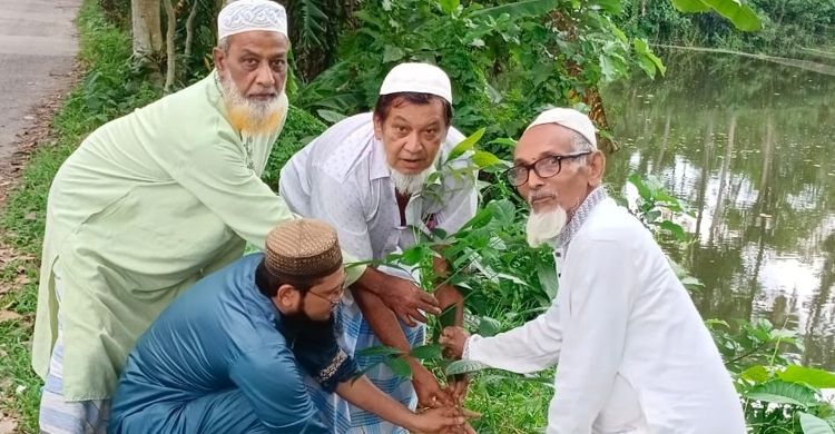 বৃক্ষরোপণের হিড়িক