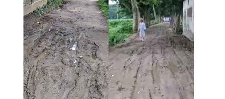 ফরাজীকান্দি আলিয়া মাদ্রাসায় যাতায়াতের রাস্তাটির অবস্থা চরম বেহাল!
