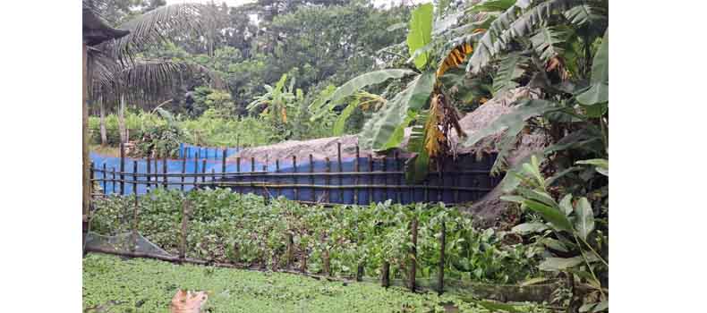 চাঁদপুর-রায়পুর আঞ্চলিক মহাসড়কে সওজের জায়গা দখল! খাল ভরাটে বাড়ছে জলাবদ্ধতার শঙ্কা