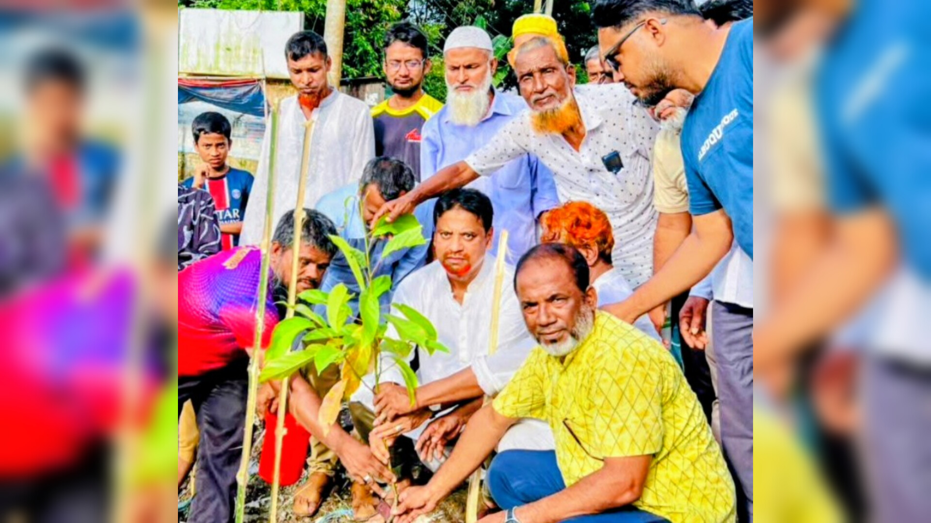 চাঁদপুর পৌর ১১নং ওয়ার্ড বিএনপির বৃক্ষরোপণ কর্মসূচি উদ্বোধন করলেন হাজী শাহজালাল শেখ