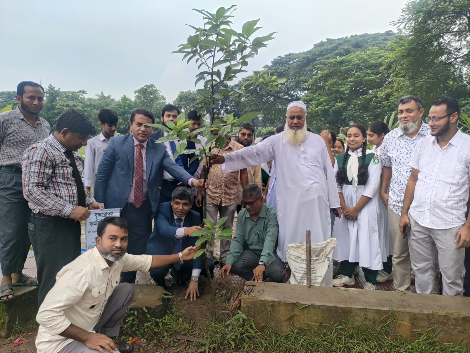 যত বেশি গাছ লাগাবো, ততই পরিবেশের ভারসাম্য রক্ষা পাবে