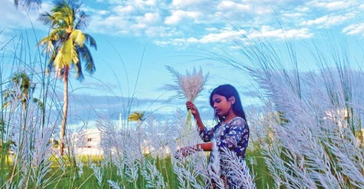ঋতুপ্রিয় বাঙালি