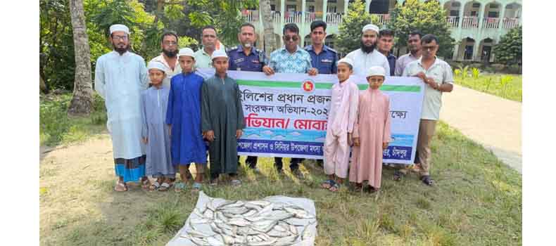 মতলব উত্তরে মৎস্য আড়ত থেকে ৩৫ কেজি ইলিশ জব্দ, এতিমখানায় বিতরণ