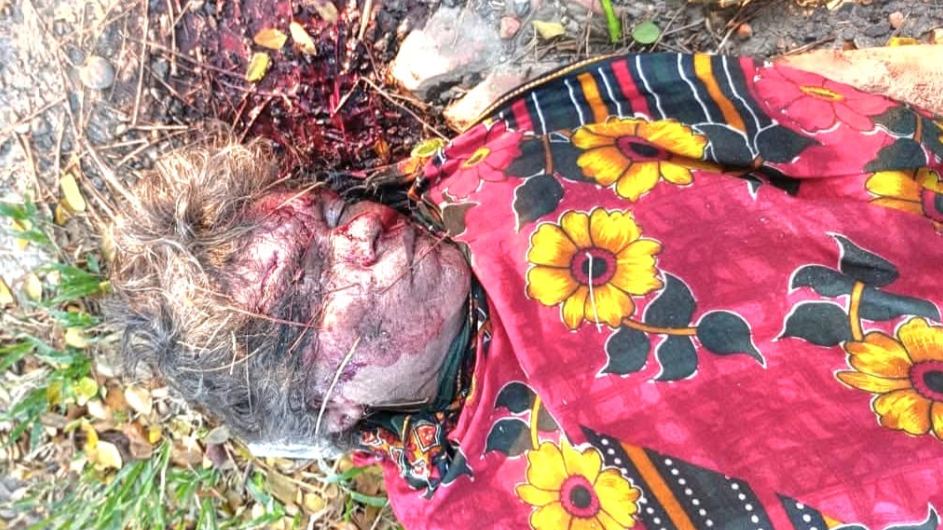 বলাখাল-রামপুর সড়কের পাশে মিললো নারীর লাশ, গাড়িচাপায় মৃত্যুর ধারণা
