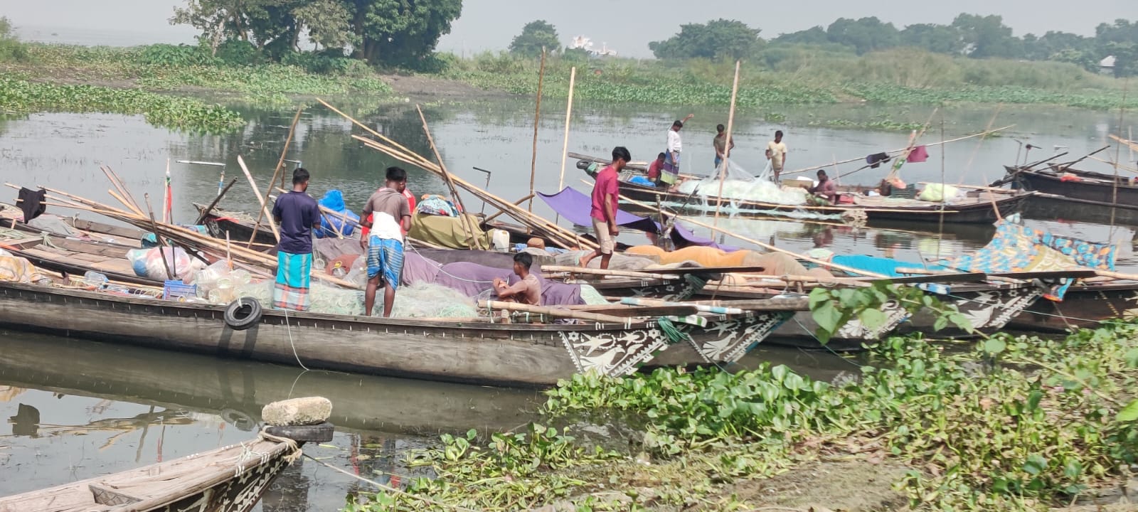 চরাঞ্চলে অভিযান নেই, প্রকাশ্যে বিক্রি হচ্ছে মা ইলিশ