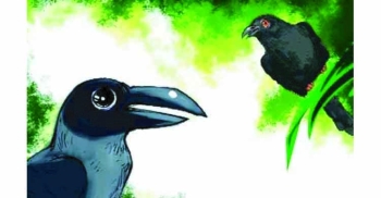 কাক ও কোকিলের দ্বন্দ্ব