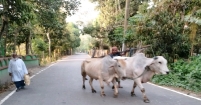 আধুনিকতার ছোঁয়া ছুঁতে পারেনি...