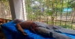 শ্রীনগরে নেশাগ্রস্ত সন্ত্রাসীদের তাণ্ডব