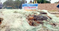 মতলব উত্তরেই লাগাতার অভিযান হলো, অন্যত্র হলো না কেন?