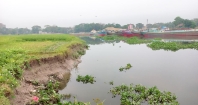ডাকাতিয়ার তীরজুড়ে রমরমা বালু ব্যবসা
