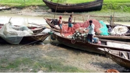 দু মাসের অভয়াশ্রম শেষ : মাছ ধরতে নদীতে নামছে জেলেরা