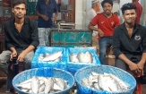 ইলিশ কিনতে গিয়ে খালি হাতে ফিরছেন ক্রেতারা
