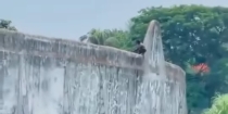 কারাগারের দেয়াল টপকে হাজতির পালানোর চেষ্টা, ভিডিও ভাইরাল