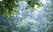 ১৪ জেলায় বৃষ্টি, সোমবার  আরো বাড়তে পারে