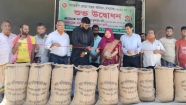 মতলব উত্তরে বোরো ধান সংগ্রহ কার্যক্রম উদ্বোধন