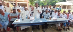 রায়পুরের মেঘনার চরের জমির ধান  ঘরে তুলতে এবার ভূমিদস্যুদের বিরুদ্ধে মালিক-চাষিরা একতাবদ্ধ