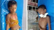 নোয়াখালীতে অটোবাইক চাপায় দু শিশু শিক্ষার্থীর মৃত্যু