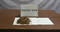 ফরিদগঞ্জে যৌথবাহিনীর অভিযানে মাদক উদ্ধার