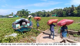 কচুরিপানা মুক্ত পানিতে স্বস্তি ফিরবে ডাকাতিয়া পাড়ের মানুষের