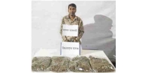 হাজীগঞ্জে যৌথ বাহিনী কর্তৃক ২ কেজি গাঁজাসহ মাদক ব্যবসায়ী আটক