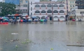 মাঠ নাকি পুকুর ?