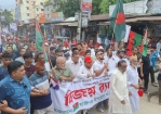 হাজীগঞ্জে গণঅভ্যুত্থানের বর্ষপূর্তিতে বিএনপির বর্ণাঢ্য র‌্যালি ও সমাবেশ