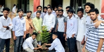 বাকিলাতে ছাত্রদলের বৃক্ষরোপণ