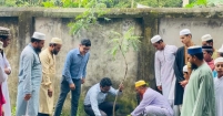 বৃক্ষরোপণ ও বনায়ন : পরিবেশ রক্ষার প্রধান হাতিয়ার