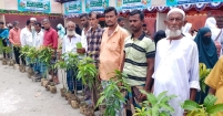 ২৪ ঘণ্টাই ধান চাষিদের জন্যে হেল্পলাইন চালু