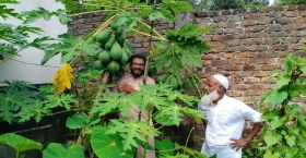 সাংবাদিকের সবজি বাগান : পরিশ্রমে গড়ে তোলা সবুজ স্বপ্ন