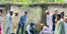 বৃক্ষরোপণ ও বনায়ন : পরিবেশ রক্ষার প্রধান হাতিয়ার