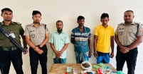 মতলবে তিন মাদক ব্যবসায়ীকে জেল ও জরিমানা