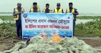 মতলব উত্তরে মেঘনায়   অভিযান : ২ লাখ মিটার কারেন্ট জাল আটক