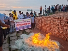 মতলব উত্তরে মা ইলিশ রক্ষা অভিযানে কারেন্ট জাল ও ইলিশ মাছ জব্দ