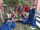 কন্যা শিশু দিবসে সাহিত্য  পরিষদের  বৃক্ষরোপণ