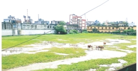 খেলার মাঠের দুরবস্থা ভাবাচ্ছে পুরাণবাজারবাসীকে