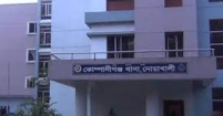 পুকুরে ডুবে সহোদর দু ভাইয়ের মৃত্যু