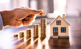 বনজ ও ফলদ সম্পদের যত্ন নিতে ইসলামের নির্দেশনা