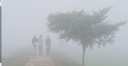 শ্রীনগরে কুয়াশা ও মৃদু শীতে জনজীবন স্থবির