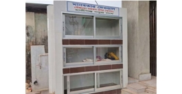 ক্রীড়াসহ অনন্য স্বকীয়তায় হাজীগঞ্জ সবুজ সংঘ