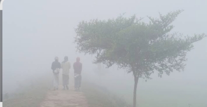 শ্রীনগরে কুয়াশা ও মৃদু শীতে জনজীবন স্থবির