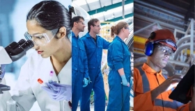 বর্তমান তরুণদের চাকরির প্রবণতা : ডাক্তার, ইঞ্জিনিয়ার নাকি আইটি?