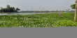 অস্তিত্বের সংকটে হানাদার বাহিনীর অস্ত্রবাহী জাহাজের সমাধিস্থল ডাকাতিয়া নদী