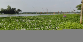 অস্তিত্বের সংকটে হানাদার বাহিনীর অস্ত্রবাহী জাহাজের সমাধিস্থল ডাকাতিয়া নদী