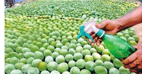 রাসায়নিক দিয়ে পাকানো ফল কতোটুকু নিরাপদ