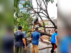 কালবৈশাখীর তাণ্ডব : কয়েক স্থানে গাছ পড়ে গেছে।। বৃদ্ধ নিহত, চাঁদপুর শহরজুড়ে বিদ্যুৎ বিপর্যয়