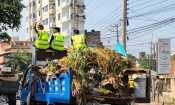 পনর ওয়ার্ডের কোরবানির বর্জ্য অপসারণ করলো চার শ’ পরিচ্ছন্নতাকর্মী